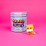 Trash Kitties Series 3 Blind Box, the 100% Soft hero of alley cats.